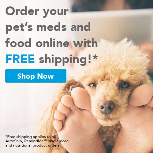 Autoship Pet Food Delivery graphic
